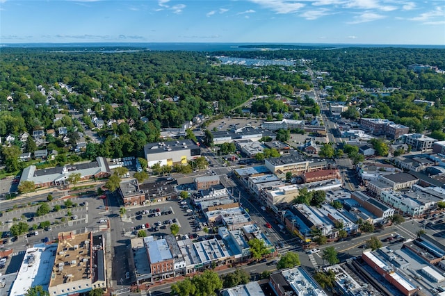 53 Irwin Pl, Huntington, NY 11743 - aerial view of property's location featuring a heavily wooded area
