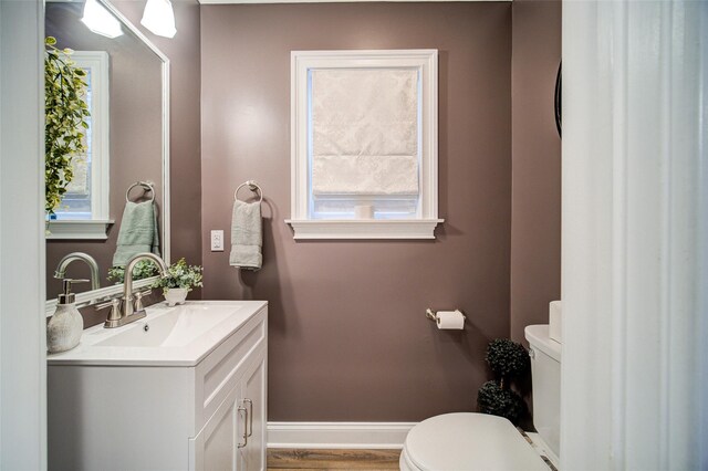 444 Haviland Hollow Rd, Patterson, NY 12563 - bathroom with toilet, vanity, wood finished floors, and baseboards