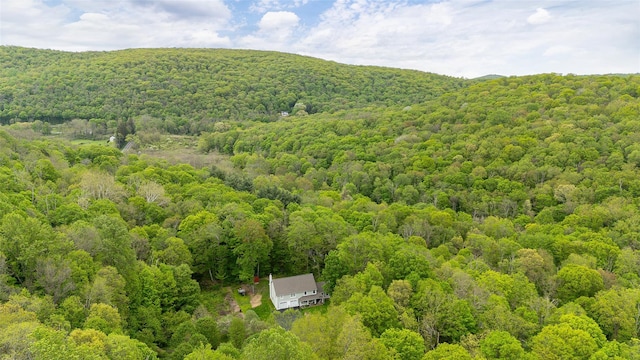 444 Haviland Hollow Rd, Patterson, NY 12563 - aerial view of property and surrounding area with a heavily wooded area