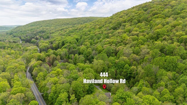 444 Haviland Hollow Rd, Patterson, NY 12563 - drone / aerial view of a heavily wooded area