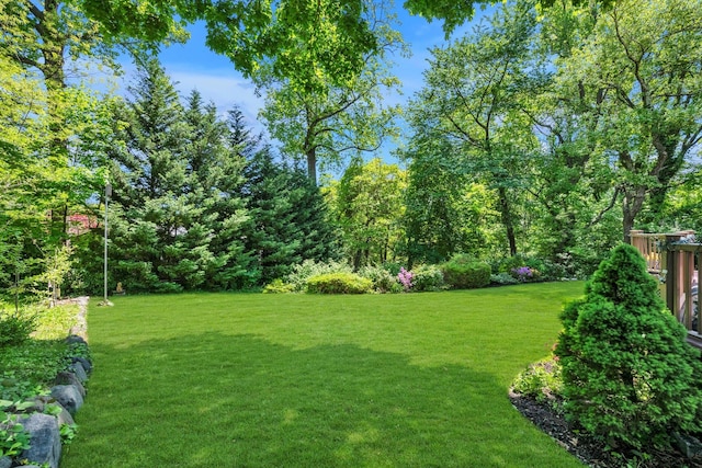 view of green lawn