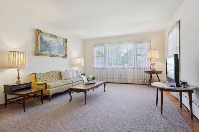 60 Rte 210, Stony Point, NY 10980 - living room with wood finished floors