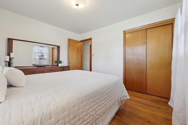 60 Rte 210, Stony Point, NY 10980 - bedroom with wood finished floors and a closet