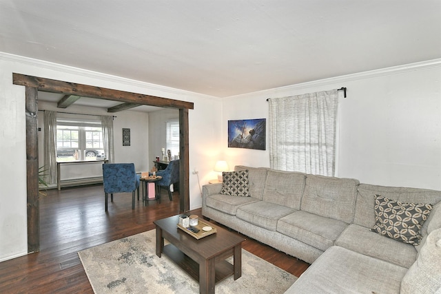 133 Spring Ln, Levittown, NY 11756 - living room with wood finished floors, ornamental molding, and baseboards