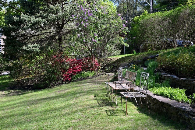 5 Donald Dr, Hastings-On-Hudson, NY 10706 - view of grassy yard