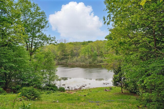 19-20 Lake Claire Dr, Middletown, NY 10940 - photo 4