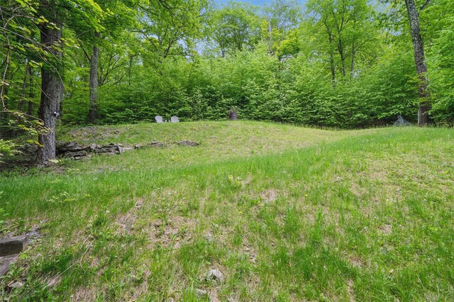 19-20 Lake Claire Dr, Middletown, NY 10940 - photo 38