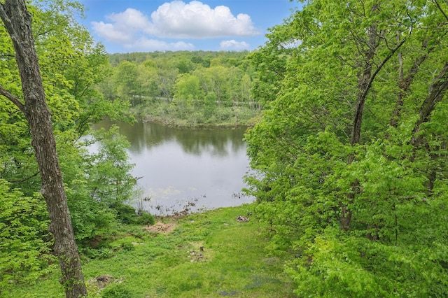 19-20 Lake Claire Dr, Middletown, NY 10940 - photo 37