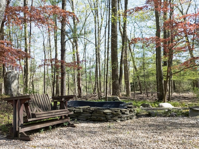 61 Reinhardt Rd, Middletown, NY 10940 - view of yard