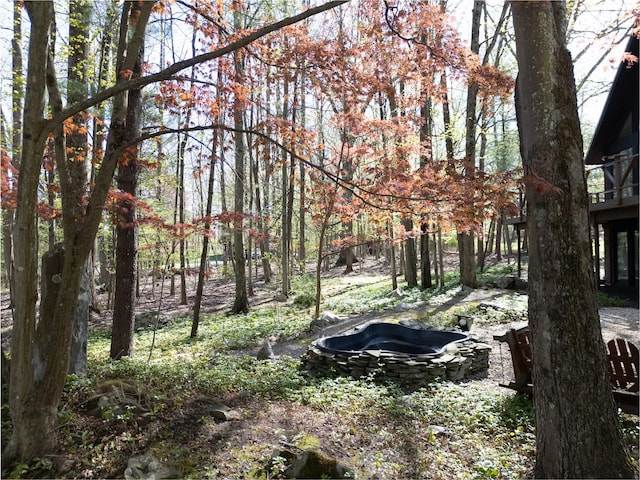 61 Reinhardt Rd, Middletown, NY 10940 - view of nature