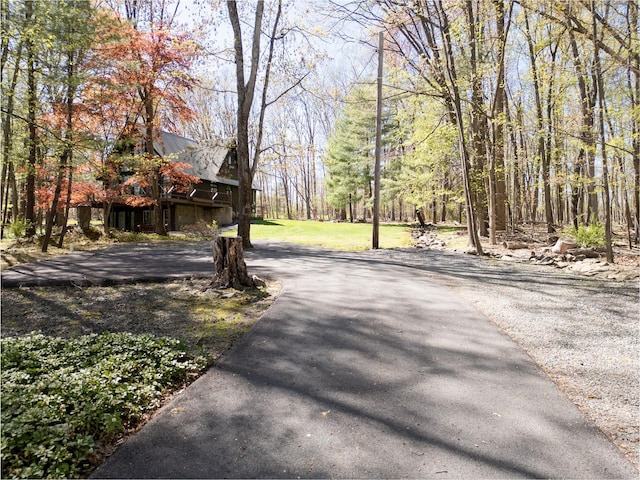 61 Reinhardt Rd, Middletown, NY 10940 - view of asphalt driveway