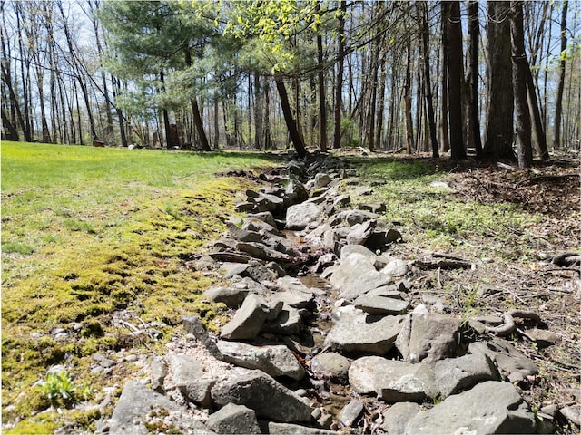 61 Reinhardt Rd, Middletown, NY 10940 - view of grassy yard