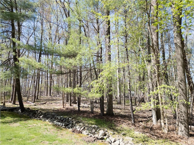 61 Reinhardt Rd, Middletown, NY 10940 - view of wooded area