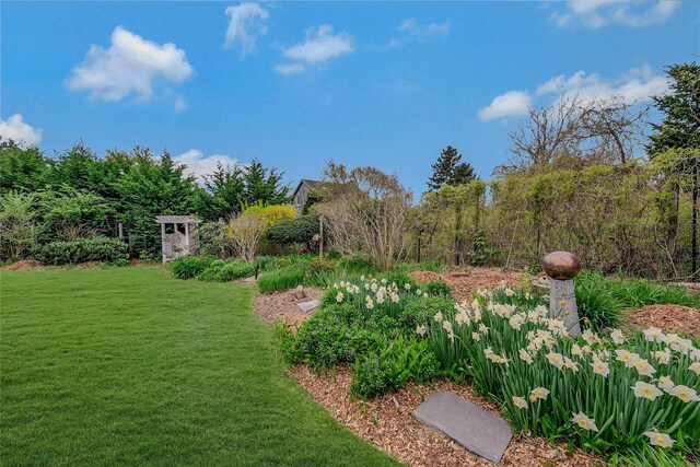 5A/5B Jessup Ln, Quogue, NY 11959 - view of green lawn