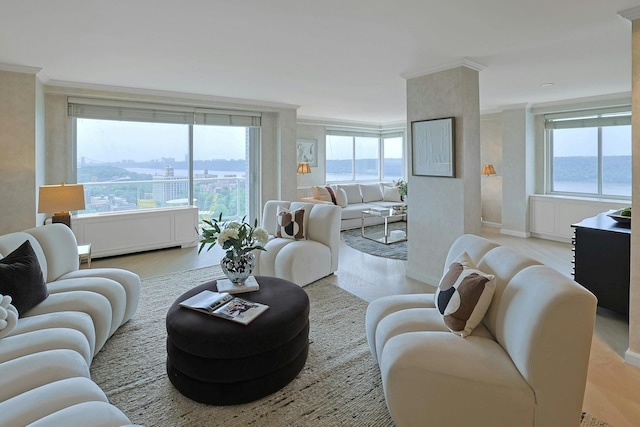 3333 Henry Hudson Pkwy # 23Ef, Bronx, NY 10463 - living room featuring crown molding and light wood-type flooring