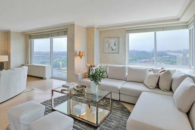 3333 Henry Hudson Pkwy # 23Ef, Bronx, NY 10463 - living room with plenty of natural light, wood finished floors, and crown molding