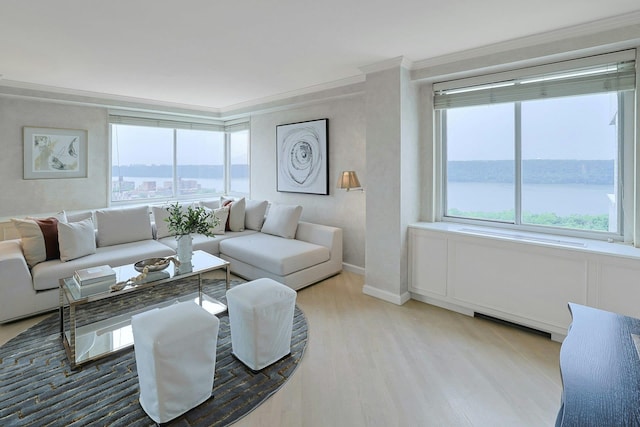 3333 Henry Hudson Pkwy # 23Ef, Bronx, NY 10463 - living room featuring ornamental molding, wood finished floors, and plenty of natural light