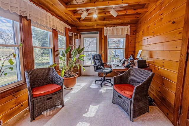 630 New Suffolk Rd, Cutchogue, NY 11935 - living area featuring wooden ceiling with exposed beams, an office area, rail lighting, wood walls, and carpet floors