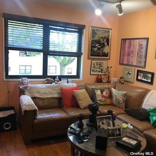 living room with rail lighting, healthy amount of natural light, and wood finished floors