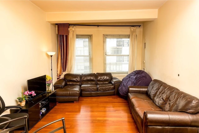 living room featuring wood finished floors