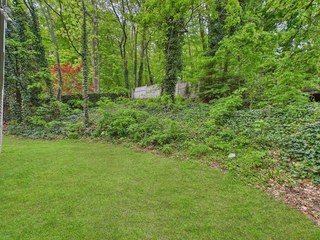 view of green lawn with a view of trees