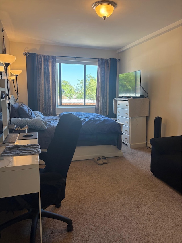 bedroom featuring carpet flooring