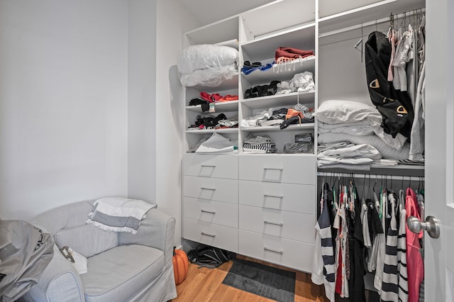 walk in closet with wood finished floors
