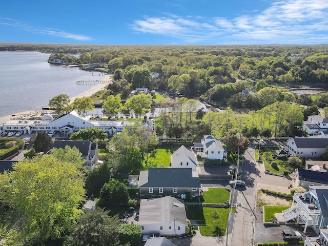 aerial perspective of suburban area with a nearby body of water and a forest