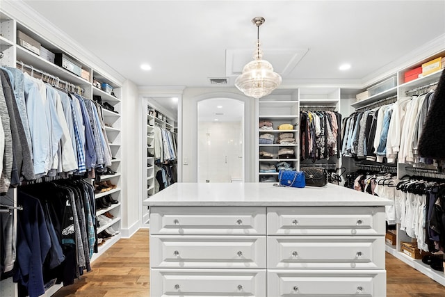15 Wagamon Dr, Woodbury, NY 11797 - spacious closet with wood finished floors