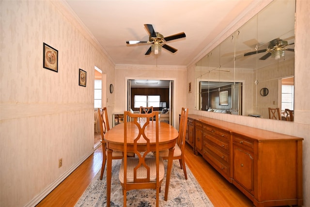dining area featuring ceiling fan, ornamental molding, and light wood-type flooring