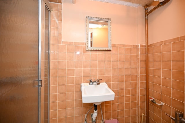 bathroom featuring a shower stall