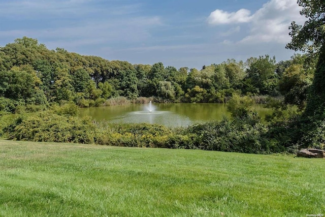 water view featuring a forest