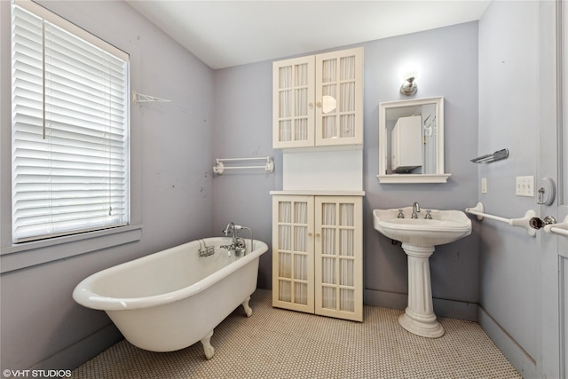 full bathroom featuring a freestanding tub