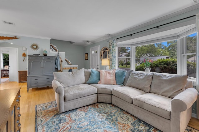 411 8th Ave, East Northport, NY 11731 - living room featuring crown molding, light wood finished floors, and healthy amount of natural light