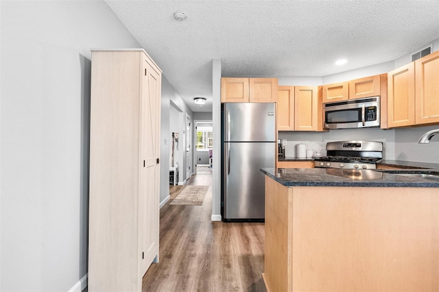 1 Mountain Ter, Nanuet, NY 10954 - kitchen with stainless steel appliances, light brown cabinets, wood finished floors, a textured ceiling, and a sink