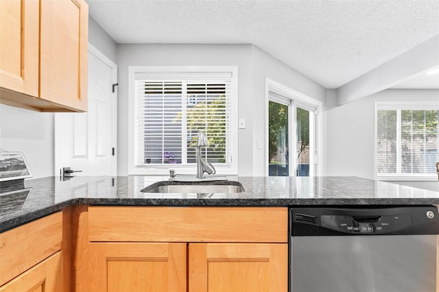 1 Mountain Ter, Nanuet, NY 10954 - kitchen featuring dishwasher, a sink, plenty of natural light, light brown cabinets, and a textured ceiling