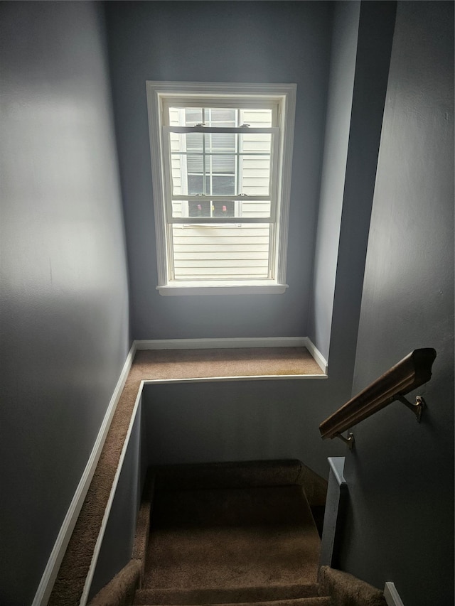 stairway with carpet flooring and baseboards