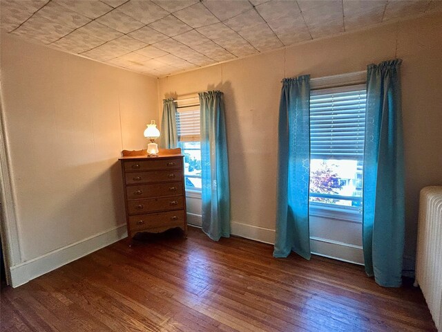 22 Herbert St, Beacon, NY 12508 - unfurnished bedroom with wood finished floors, multiple windows, radiator heating unit, and baseboards