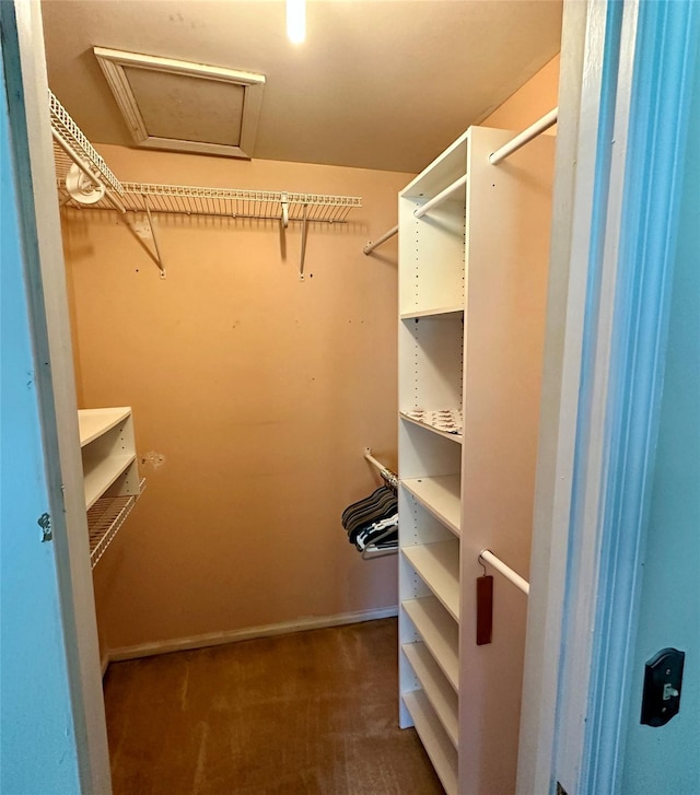 1 Olde Wagon Rd, Warwick, NY 10990 - walk in closet with dark carpet