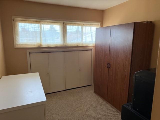 clothes washing area featuring light carpet