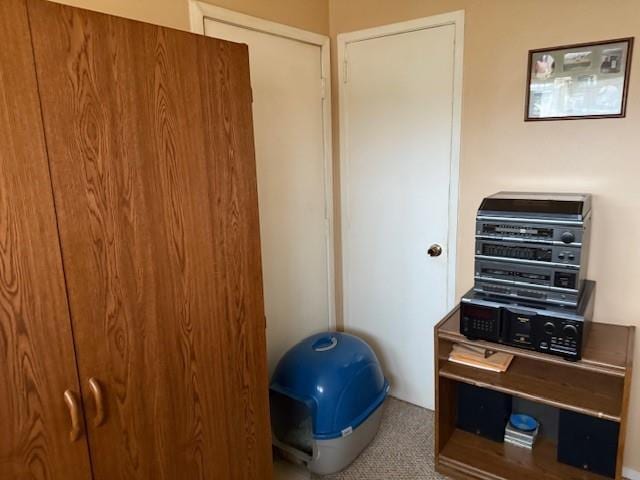 office featuring carpet flooring