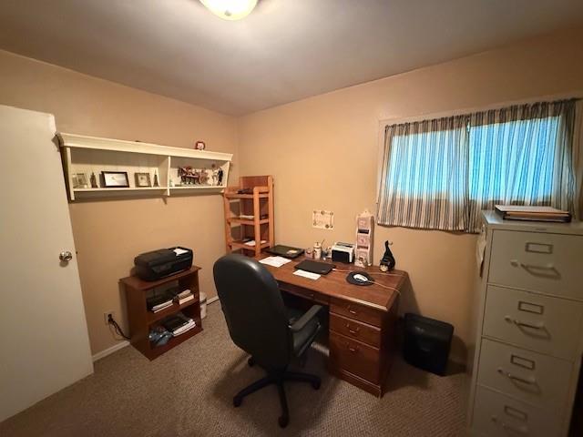 office area featuring carpet