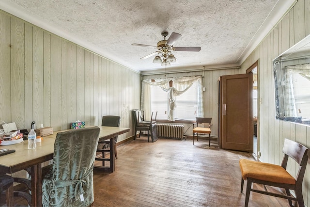 179-03 Selover Rd, Jamaica, NY 11434 - living area with radiator, healthy amount of natural light, a ceiling fan, wood walls, and wood finished floors