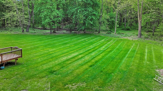 6 Edgewater Rd, Poughkeepsie, NY 12603 - view of green lawn with a deck