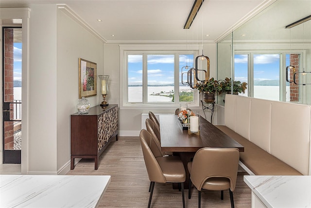 16 Rockledge Ave Unit 5D-2, Ossining, NY 10562 - dining room with baseboards, light wood-style floors, a water view, and ornamental molding