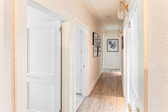 16 Rockledge Ave Unit 5D-2, Ossining, NY 10562 - corridor with light wood-style floors and crown molding