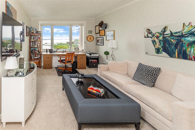 16 Rockledge Ave Unit 5D-2, Ossining, NY 10562 - living area with a desk, light colored carpet, and ornamental molding