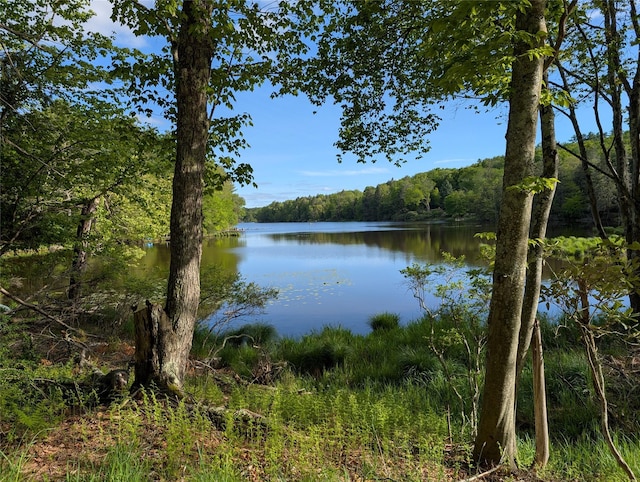 11 W Mongaup Trl, Smallwood, NY 12778 - water view featuring a heavily wooded area