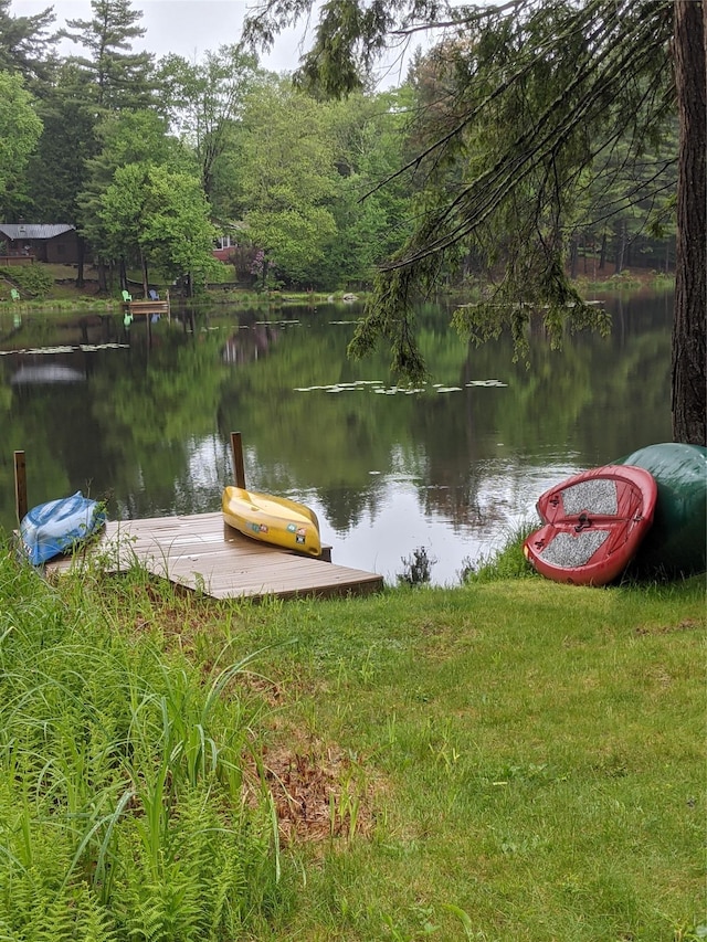 11 W Mongaup Trl, Smallwood, NY 12778 - dock area with a water view
