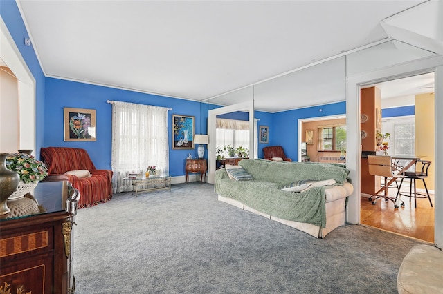 42 Longview Ave, White Plains, NY 10605 - view of carpeted living room